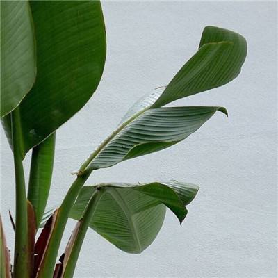 开开棋牌手机app下载截图