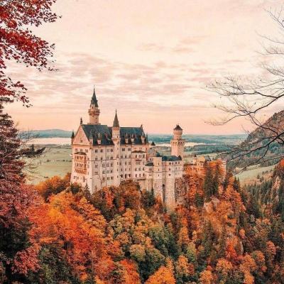 365体育官方唯一入口下载手机版截图