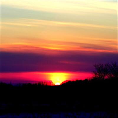 beat365平台手机app下载