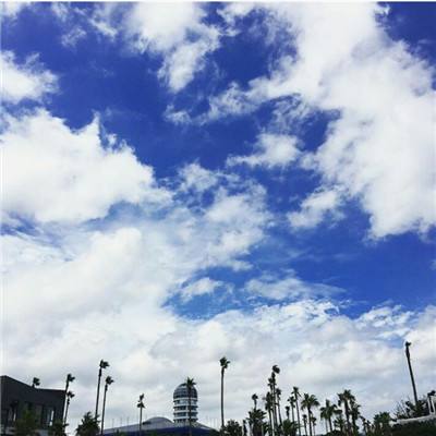 永盈会手机版app下载