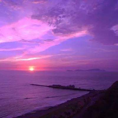 新188app官网下载