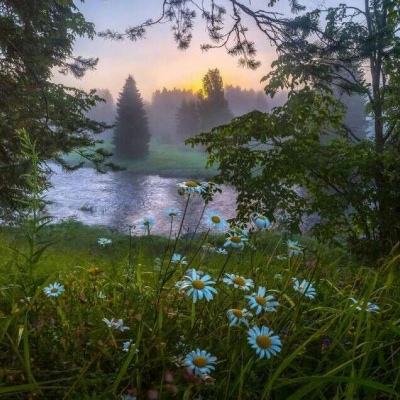 am8亚美ag旗舰厅官网手机app下载